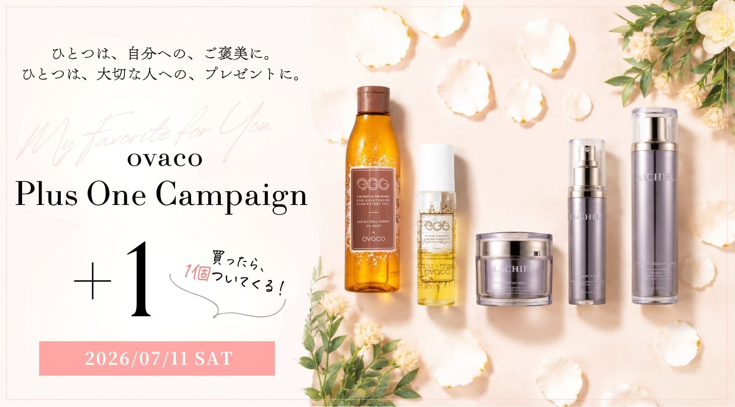 tu a Online Store（トゥア オンラインストア） | 韓国コスメ（ovaco