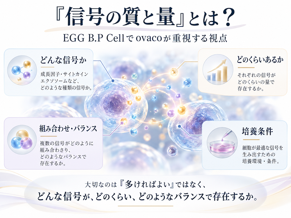 EGG B.P Cellでovacoが重視する信号の種類・量・組み合わせ・培養条件を説明する図