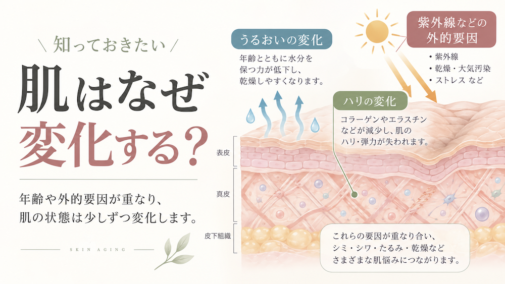 年齢とともに変化する肌とターンオーバー、乾燥、紫外線などの関係