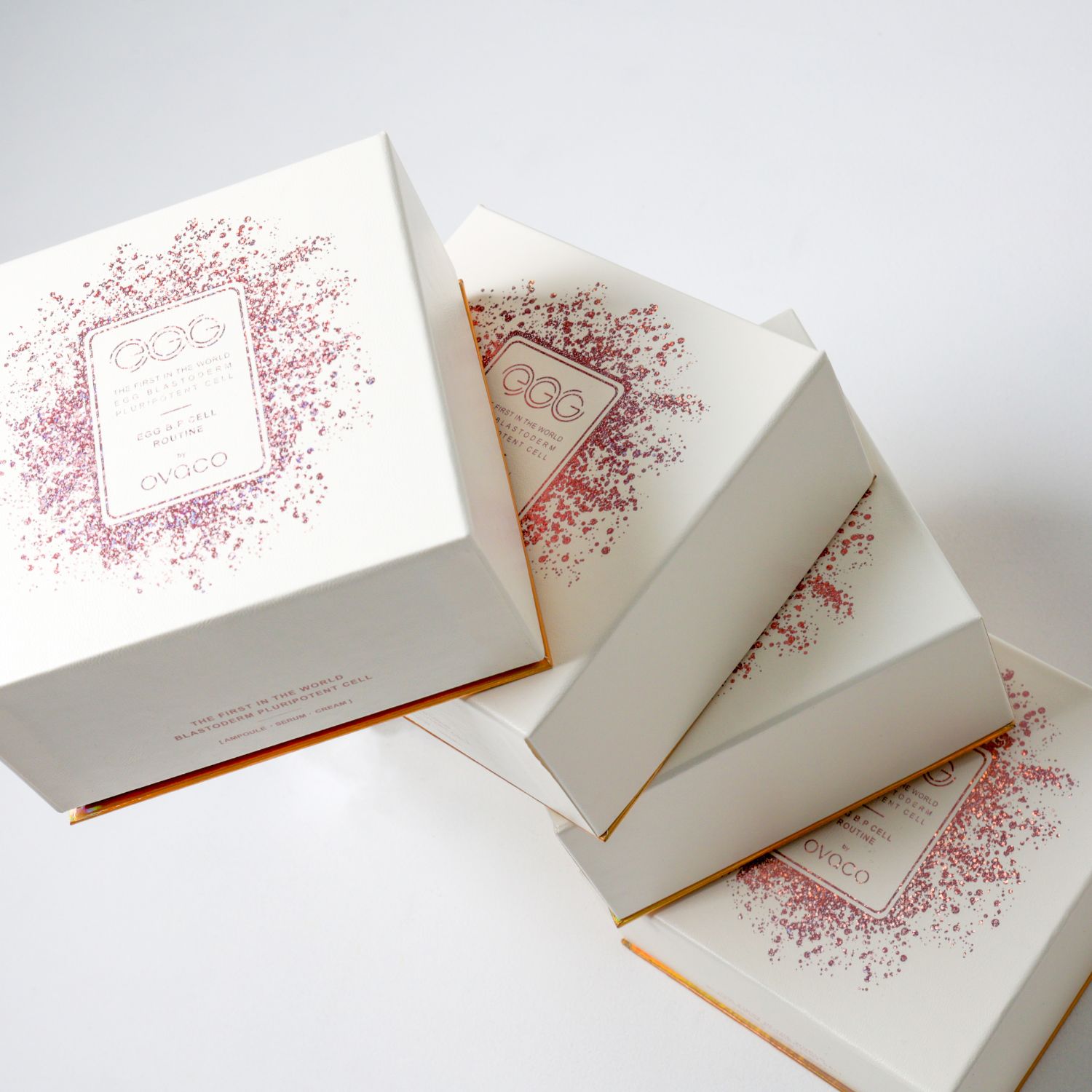 tu a Online Store について②