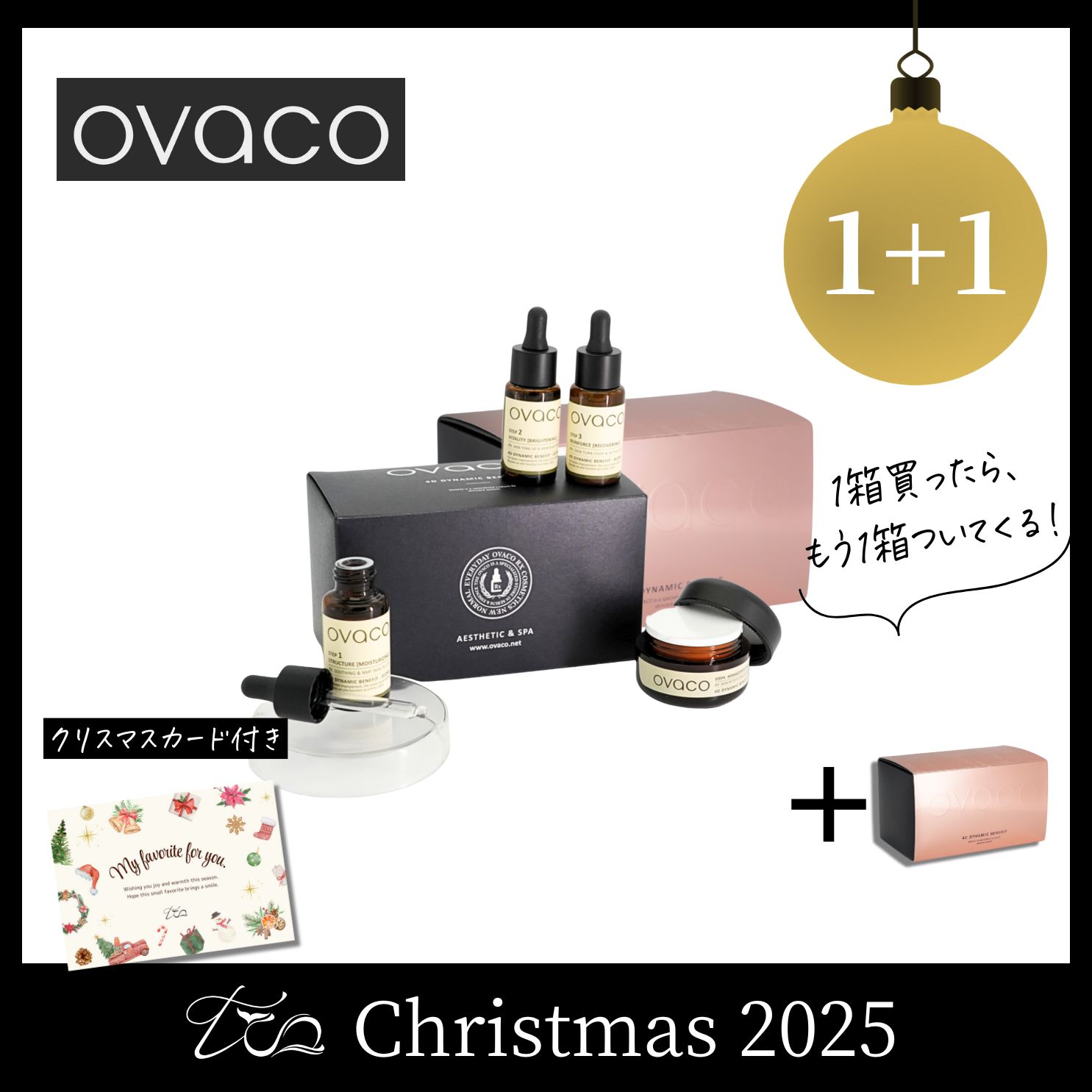 【1+1】オバコ 4Dダイナミックセット〈2025クリスマス〉